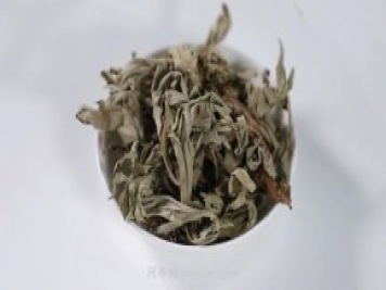 南陽(yáng)艾草產(chǎn)業(yè)蓬勃發(fā)展的背后原因是為什么？