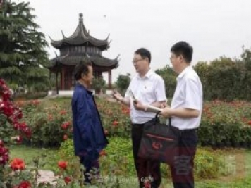 南陽(yáng)月季，“一花一草”總關(guān)情金融活水潤(rùn)民生