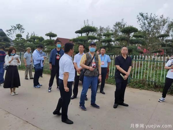 暢游中國花木之鄉(xiāng)，兩岸媒體人見證鄢陵縣鄉(xiāng)村振興之路(圖1)