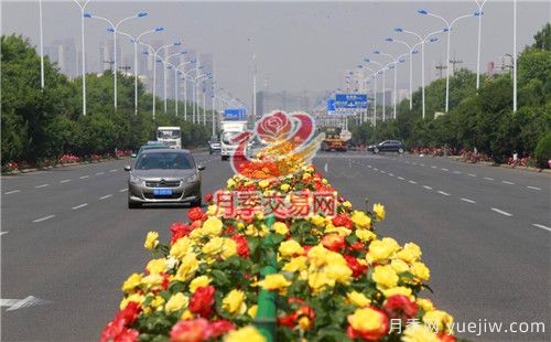 城市內建設“月季大道”竟這么流行！(圖1)