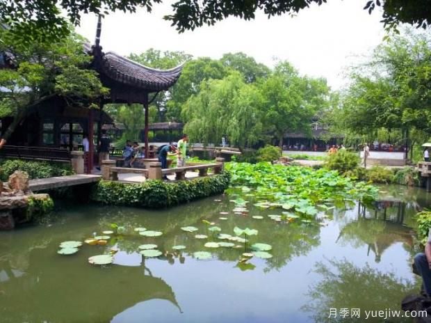 如何做好園林綠化工程決算？(圖1)