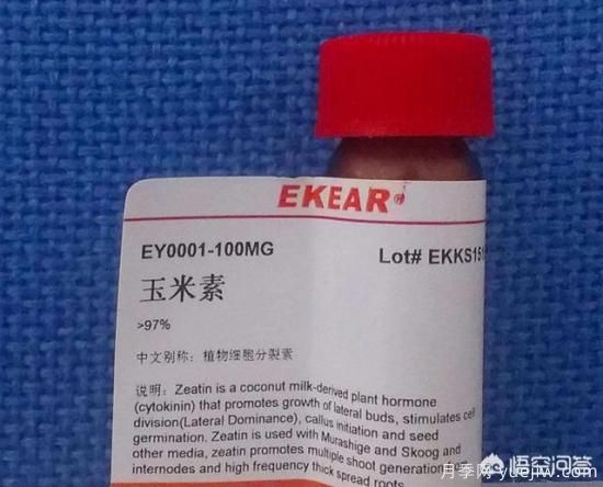 常見的花卉生長調(diào)節(jié)劑都有哪些？它們都起什么作用？(圖3)