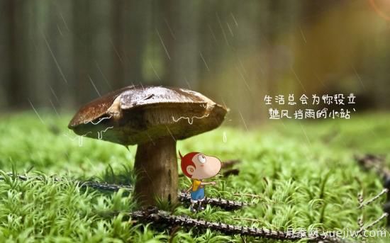 園林綠化常用的耐陰植物有哪些？(圖1)