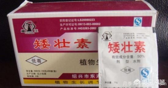 常見的花卉生長調(diào)節(jié)劑都有哪些？它們都起什么作用？(圖4)
