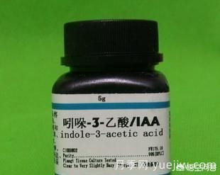 常見的花卉生長調(diào)節(jié)劑都有哪些？它們都起什么作用？(圖2)