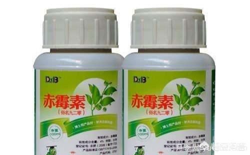 常見的花卉生長調(diào)節(jié)劑都有哪些？它們都起什么作用？(圖1)