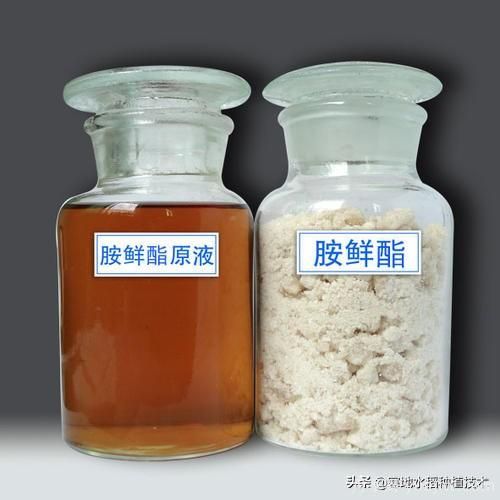 常見的花卉生長調(diào)節(jié)劑都有哪些？它們都起什么作用？(圖8)