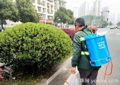 如何做園林的綠化養(yǎng)護(hù)工作？(圖7)