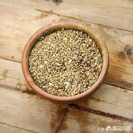 哪些樹種可以做街道綠化樹種？(圖12)