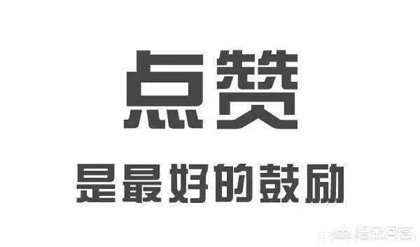 彩葉樹種哪些適合南方種植？表現(xiàn)要好些的！(圖3)