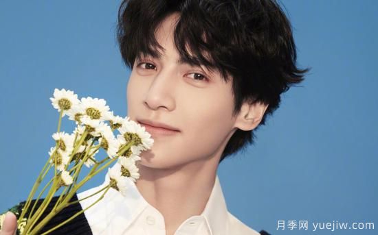 舉例說明什么是園林植物群植？(圖1)