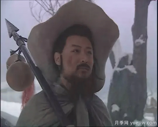 紅玉蘭與白玉蘭如何區(qū)分？(圖9)