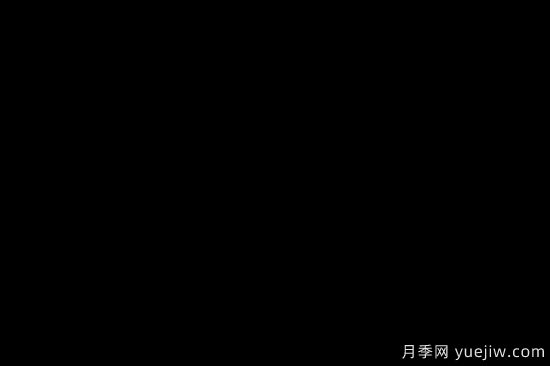 花卉在園林中的應用形式和特點是什么？(圖1)
