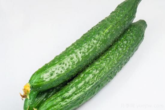 常見(jiàn)蔬菜名稱大全 常見(jiàn)的蔬菜有哪些(圖2)