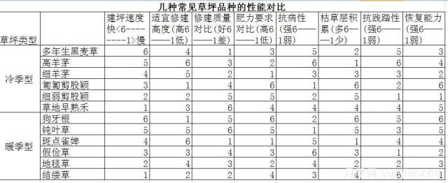 ***優(yōu)草坪品種分類和搭配運(yùn)用(圖2)