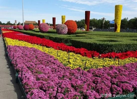 城市中那些美爆的花壇是如何營(yíng)造的(圖1)