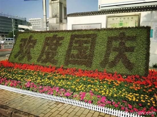 城市中那些美爆的花壇是如何營(yíng)造的(圖2)