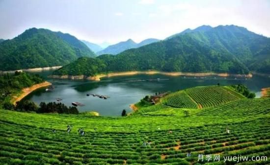 河南人口**大縣是誰？鄧州常住人口超124萬人，還是固始縣(圖2)