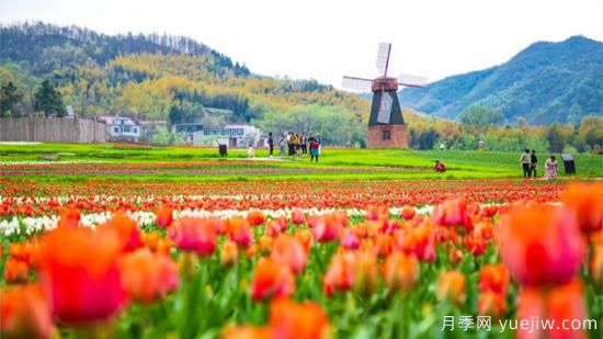河南人口**大縣是誰？鄧州常住人口超124萬人，還是固始縣(圖1)
