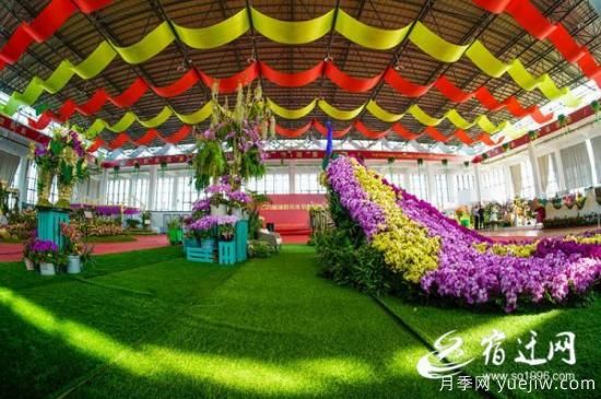 宿遷沭陽(yáng)：第九屆沭陽(yáng)花木節(jié)，以花為媒謀發(fā)展(圖2)