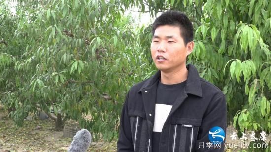 周口太康：發(fā)展林下經(jīng)濟(jì)打造生態(tài)聚寶盆(圖2)