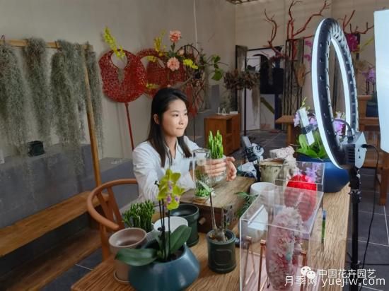 第21屆中國(guó)（青州）花卉博覽交易會(huì)暨第15屆山東省花卉交易會(huì)開(kāi)幕(圖3)