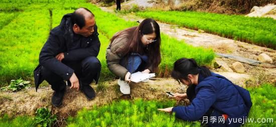 河南林業(yè)局深入南陽桐柏縣調(diào)研苗圃產(chǎn)業(yè)(圖1)