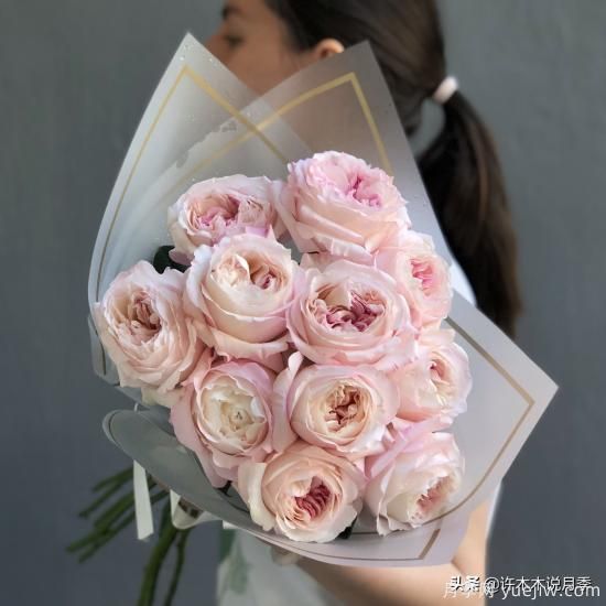 35個(gè)奧斯汀官方推薦的月季品種，抗病強(qiáng)長(zhǎng)勢(shì)好開(kāi)花多花友必選(圖10)
