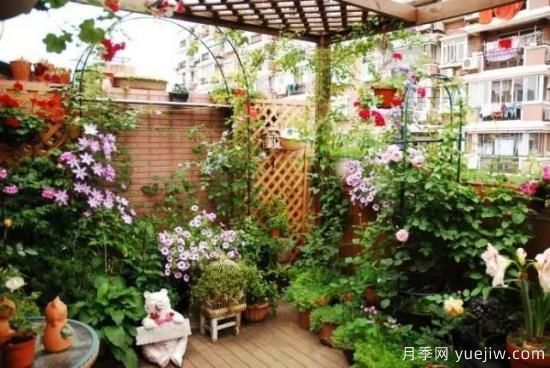 什么是園藝？就是用植物的生命影響人的生命！(圖1)