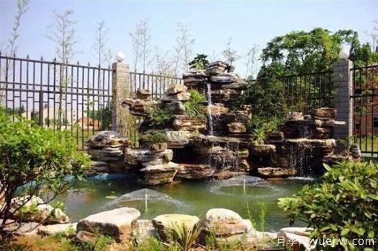 假山植物有哪些？如何造景？(圖1)