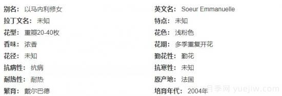 推薦高顏值且好養(yǎng)的10個(gè)藤本月季，看一眼就愛上(圖8)