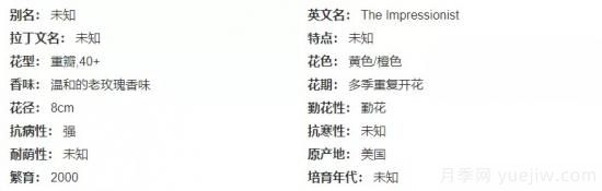 推薦高顏值且好養(yǎng)的10個(gè)藤本月季，看一眼就愛上(圖6)