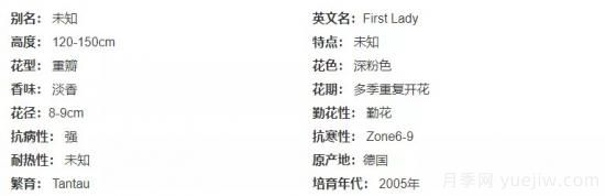 推薦高顏值且好養(yǎng)的10個(gè)藤本月季，看一眼就愛上(圖12)