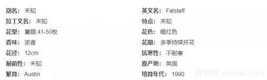 推薦高顏值且好養(yǎng)的10個(gè)藤本月季，看一眼就愛上(圖16)