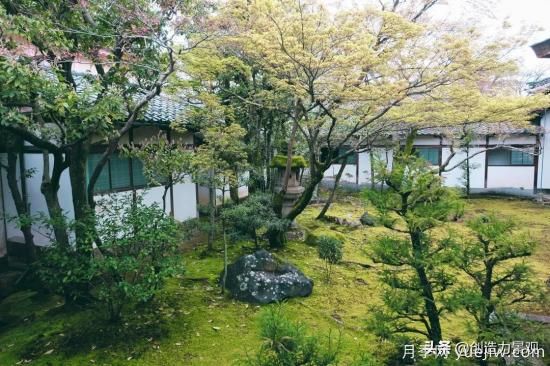 冬季植物應(yīng)該怎么打理，才能來年依舊繁花似錦(圖2)
