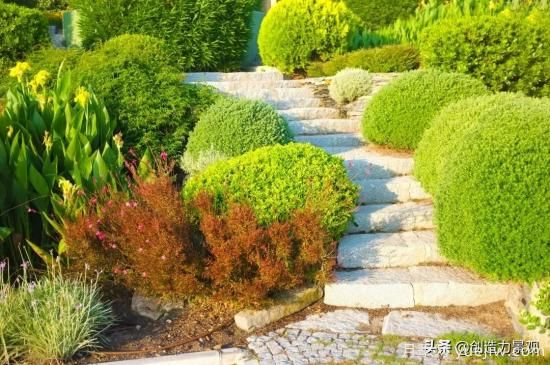 冬季植物應(yīng)該怎么打理，才能來年依舊繁花似錦(圖3)