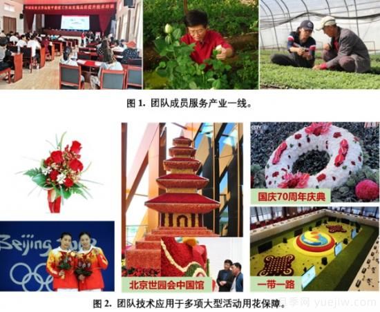 中國(guó)農(nóng)大鮮花品控團(tuán)隊(duì)助推花卉種質(zhì)創(chuàng)新與供應(yīng)鏈技術(shù)升級(jí)(圖1)