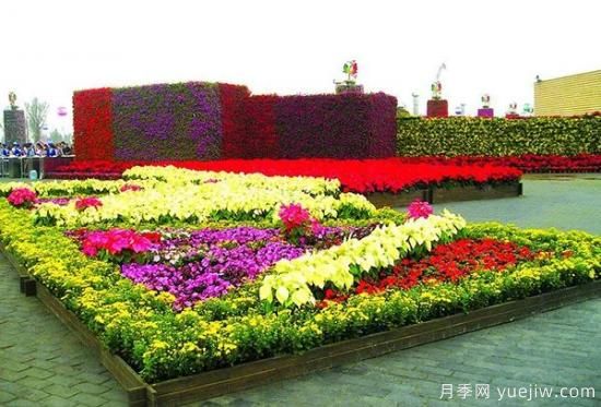 城市園林中美麗的花壇是如何設計制作的？(圖2)