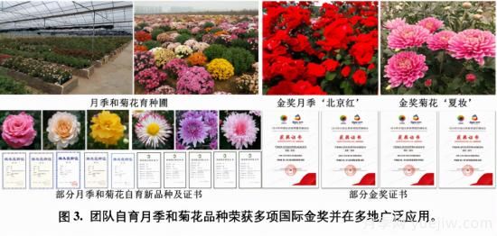 中國(guó)農(nóng)大鮮花品控團(tuán)隊(duì)助推花卉種質(zhì)創(chuàng)新與供應(yīng)鏈技術(shù)升級(jí)(圖2)