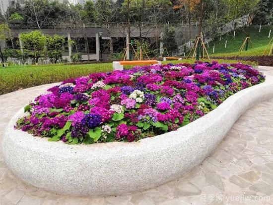 城市園林中美麗的花壇是如何設計制作的？(圖3)