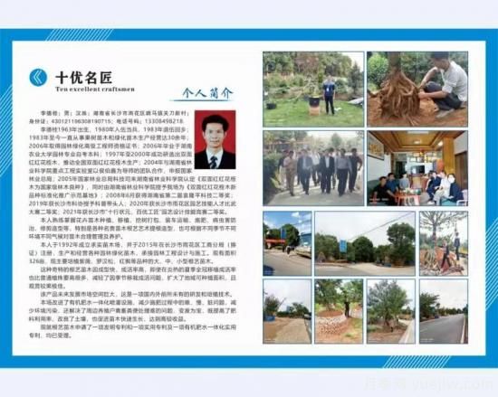 長沙雨花：穩(wěn)定年收入超200萬， 李德桂如何靠苗木致富的(圖1)