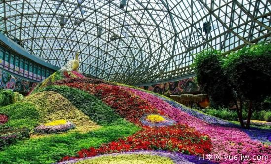 標準體系建設助力中國花卉產業(yè)提檔升級(圖1)
