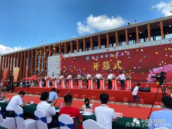 第九屆沭陽花木節(jié) 用顏色經(jīng)濟(jì)創(chuàng)造美麗生活(圖2)