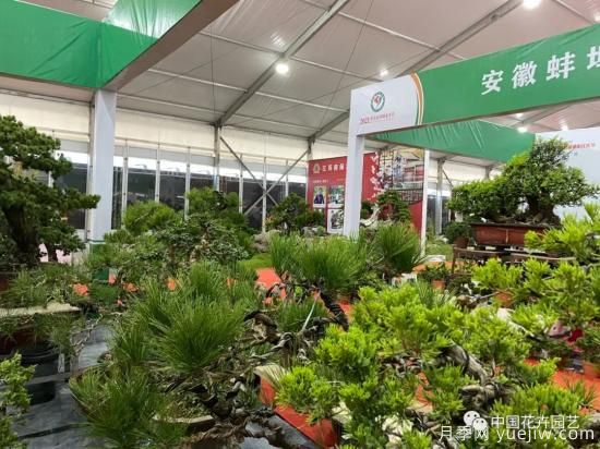 第九屆沭陽花木節(jié) 用顏色經(jīng)濟(jì)創(chuàng)造美麗生活(圖4)