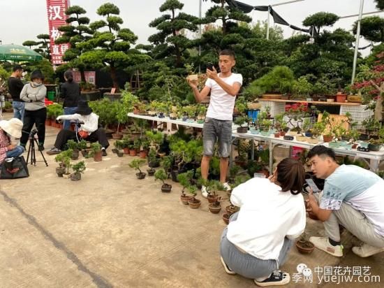 第九屆沭陽花木節(jié) 用顏色經(jīng)濟(jì)創(chuàng)造美麗生活(圖5)