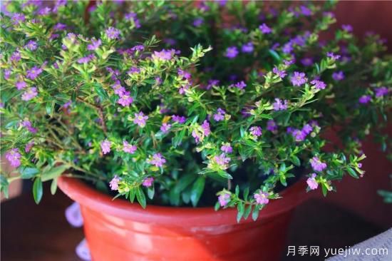 “厚德載物”是哪幾德，你知道嗎？漲知識！(圖1)