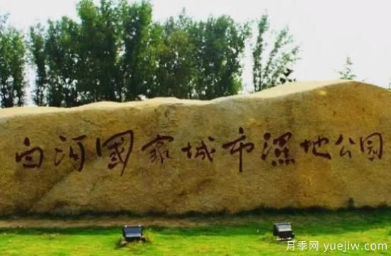 南陽白河濕地公園，晨暮讀覽春夏秋冬(圖1)