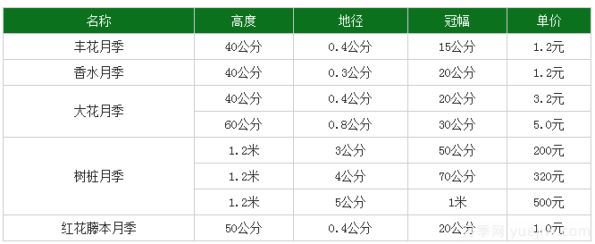 月季花多少錢一株？月季花的繁殖方法和養(yǎng)殖方法(圖1)