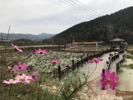 南陽(yáng)桐柏：全域黨建+旅游助推鄉(xiāng)村振興(圖1)