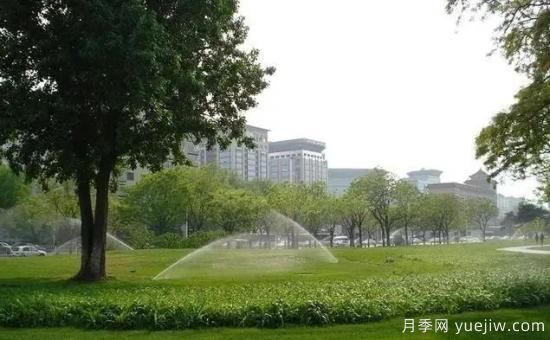 各個月份節(jié)點苗木養(yǎng)護(hù)指南(圖4)